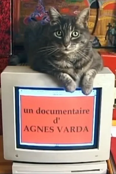 Tribute to Zgougou the Cat
