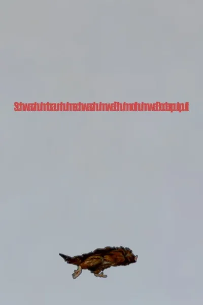 Schwarzhuhnbraunhuhnschwarzhuhnweißhuhnrothuhnweiß oder put-putt
