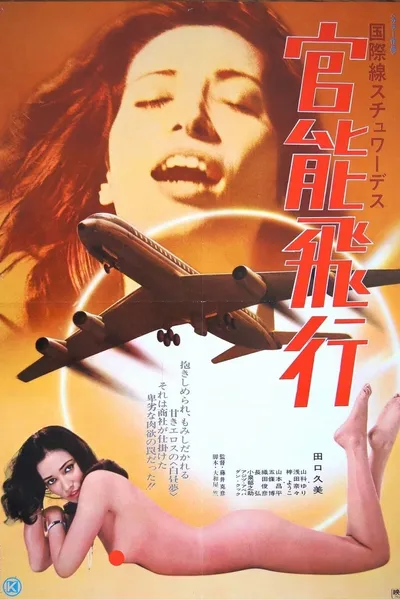 International Stewardess: Erotic Flight