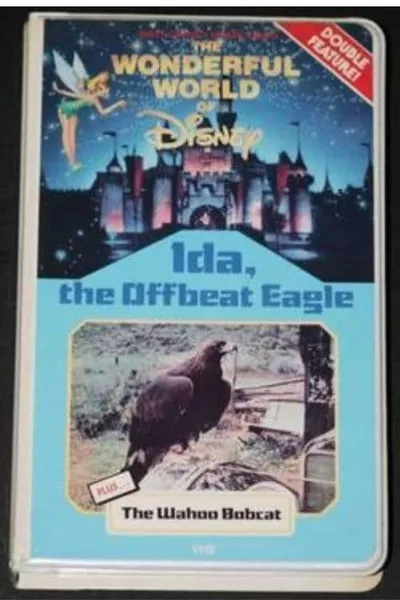 Ida, the Offbeat Eagle