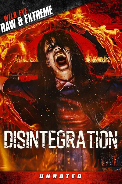 Disintegration