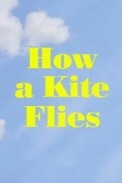 How a Kite Flies