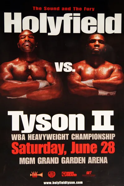 Mike Tyson vs. Evander Holyfield II