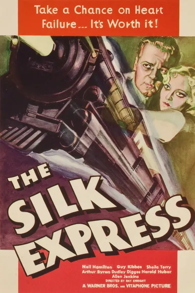 The Silk Express