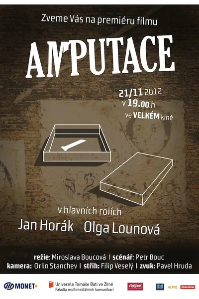 Amputace