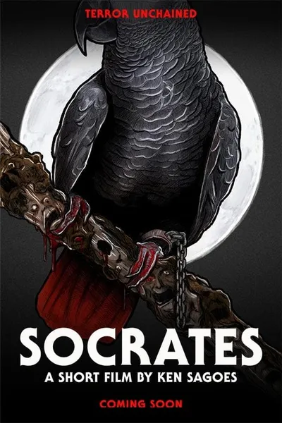 Socrates