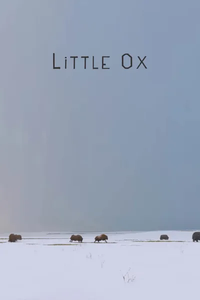 Little Ox