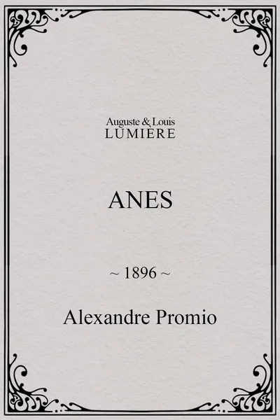 Anes