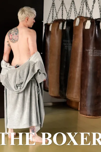 The Boxer