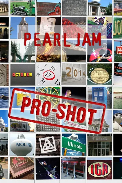Pearl Jam: Moline 2014 - The No Code Show [Nugs]