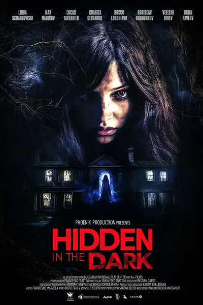 Hidden in the Dark
