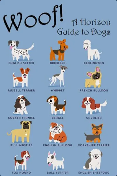 Woof! A Horizon Guide to Dogs