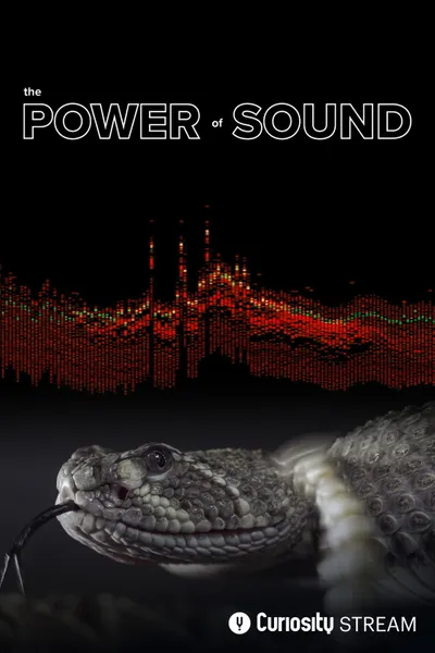 The Power of Sound