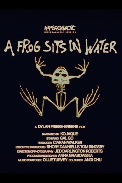A Frog Sits In Water