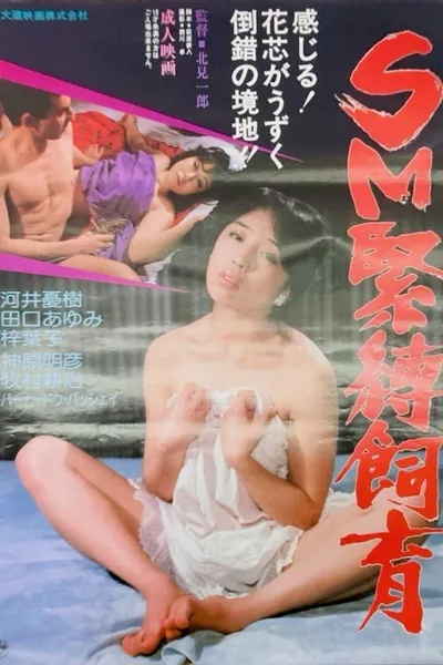 SM kinbaku shiiku