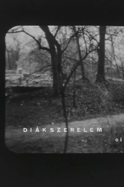 Diákszerelem