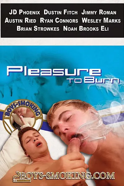 Pleasure to Burn