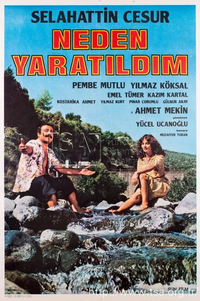 Neden Yaratıldım