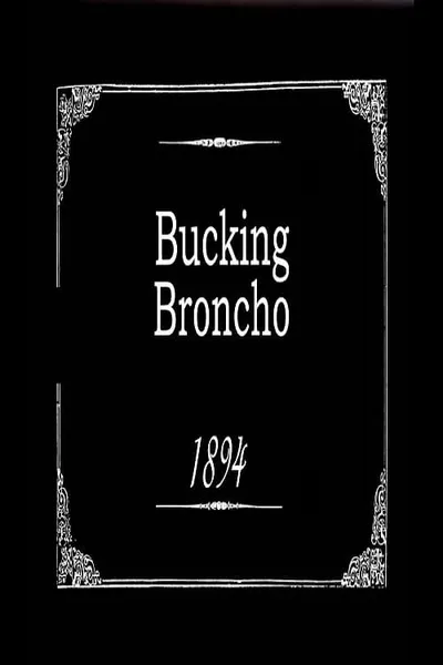Bucking Broncho