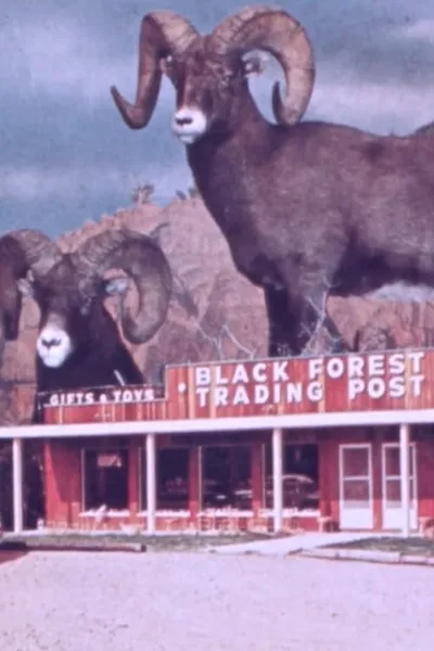 Black Forest Trading Post