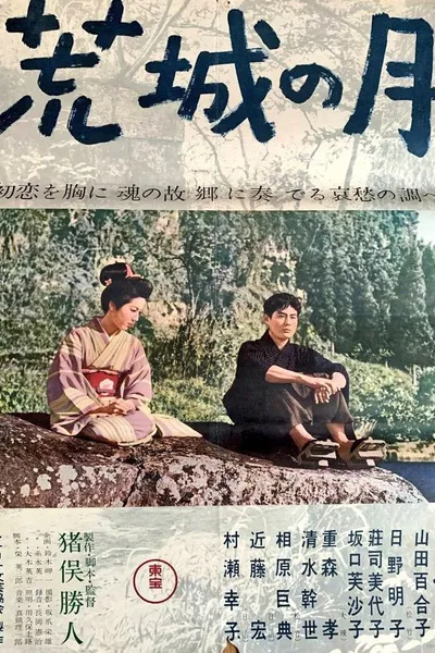 Moon Over the Abandoned Castle