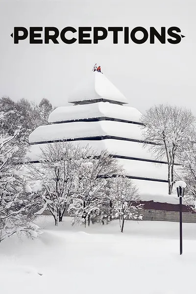 Perceptions