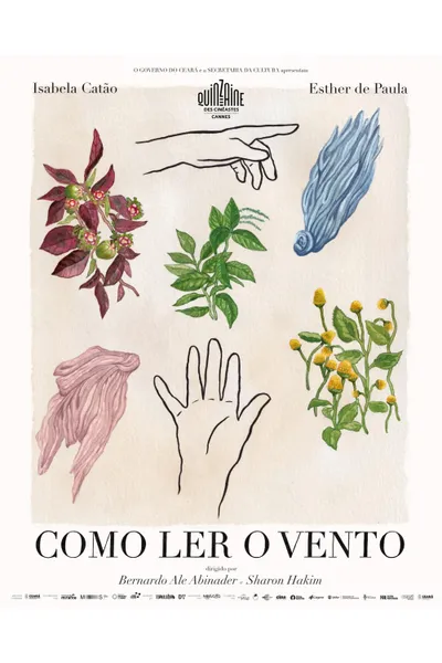 Como Ler o Vento