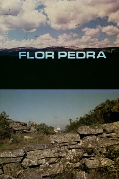 Flor Pedra