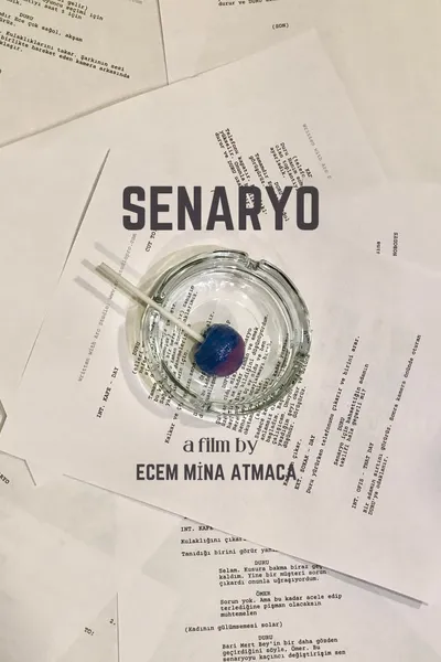 Senaryo