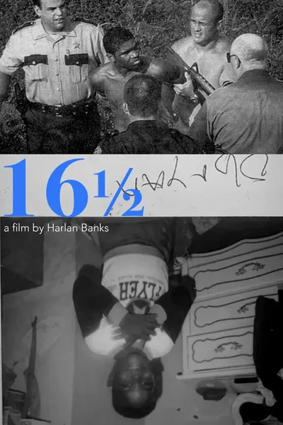 16 1/2