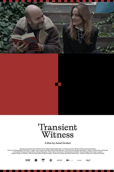 Transient Witness