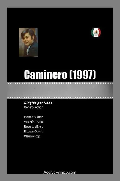 Caminero