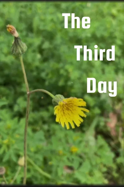 The Third Day