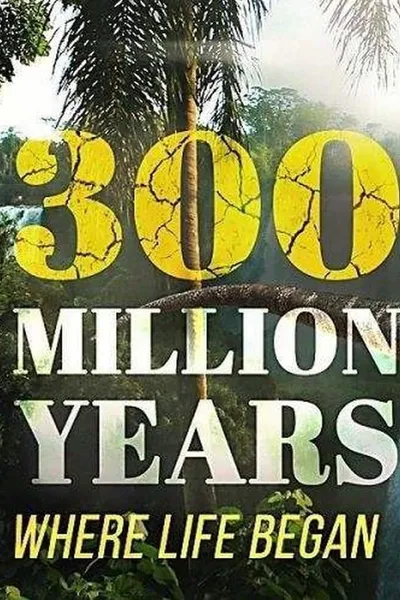 300 Million Years