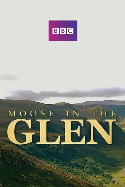 Moose in the Glen