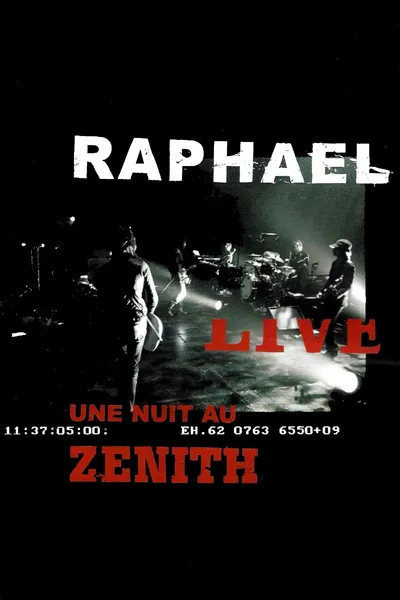 Raphael-Live au Zenith