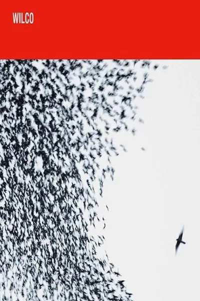 Wilco: Shake It Off