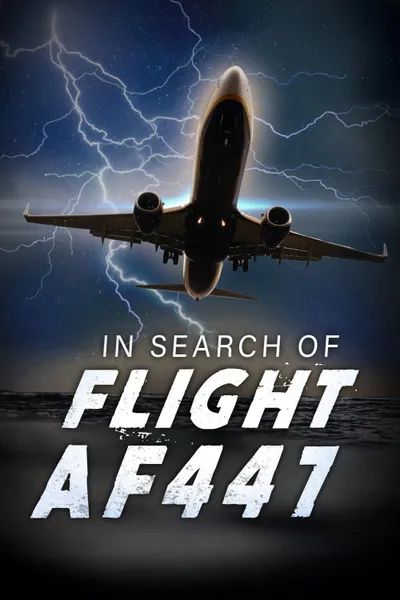 In Search of Flight AF447