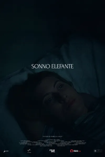 Sonno Elefante