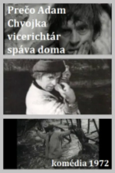 Adam Chvojka vicerichtár