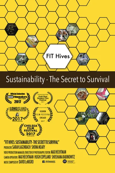 FIT Hives: Sustainability - The Secret to Survival