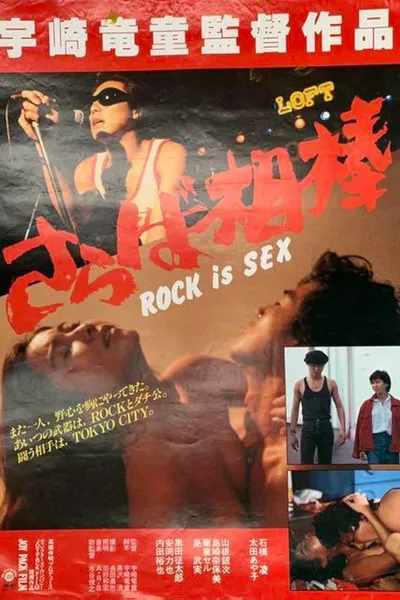 So Long, My Partner: Rock Is Sex