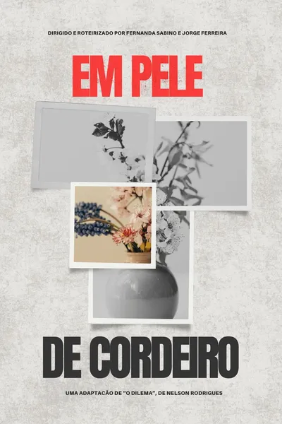 Em pele de cordeiro