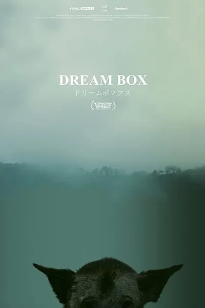 Dream Box