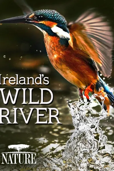 Ireland's Wild River