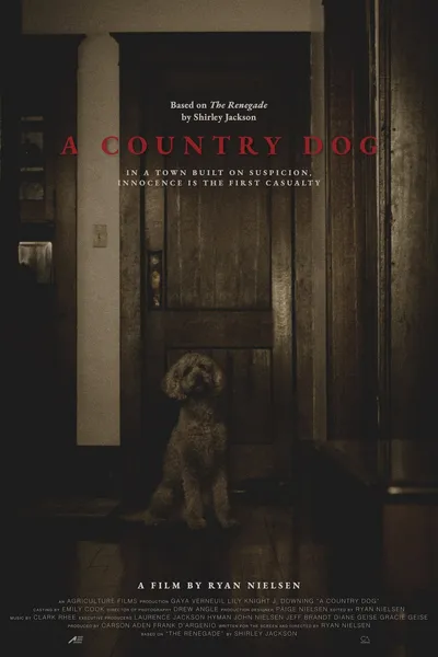 A Country Dog
