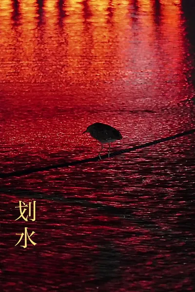 Rowing