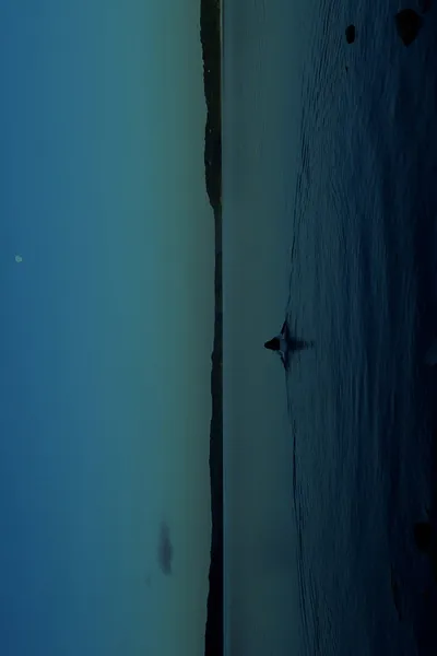THE WATERS