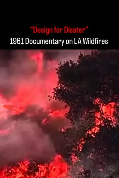 Design for Disaster