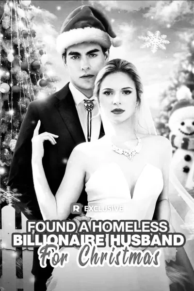 Found A Homeless Billionaire Husband for Christmas